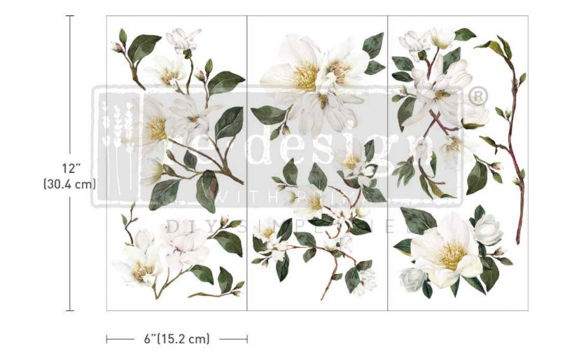 White Magnolia transfer