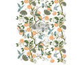 Orange Grove