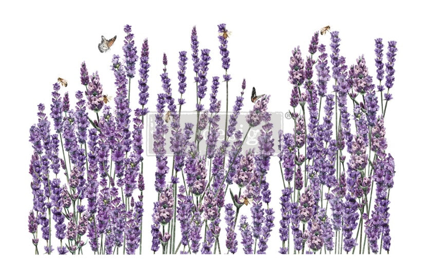 Champs de Lavende