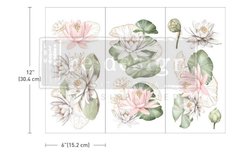 Water Lilies