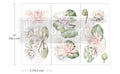 Water Lilies