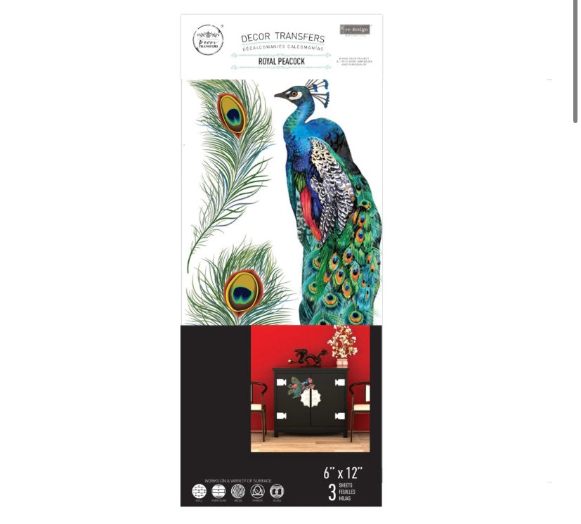 Royal Peacock