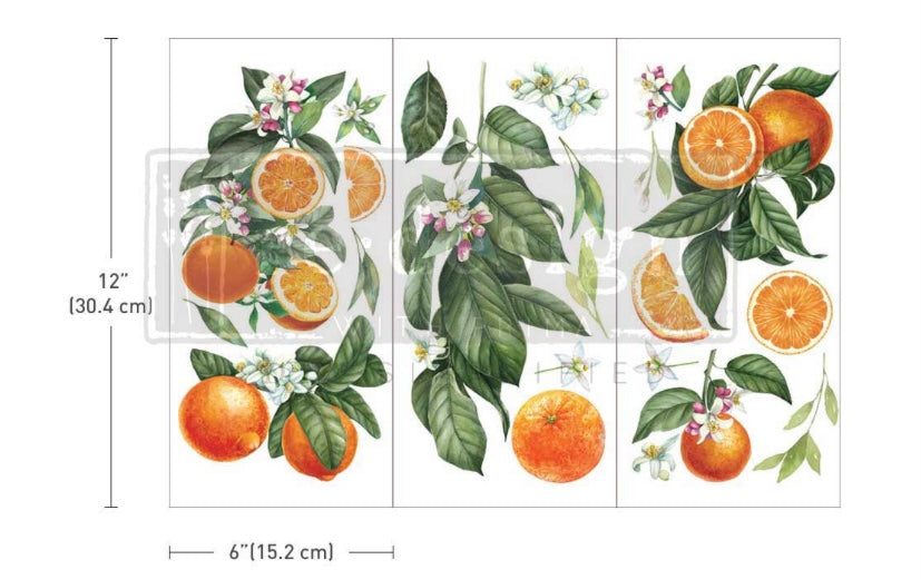 Citrus Slice