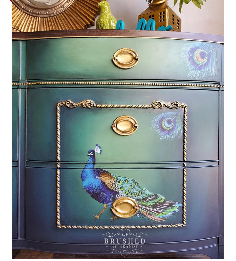 Peacock Dreams