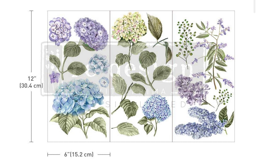 Mystic Hydrangea