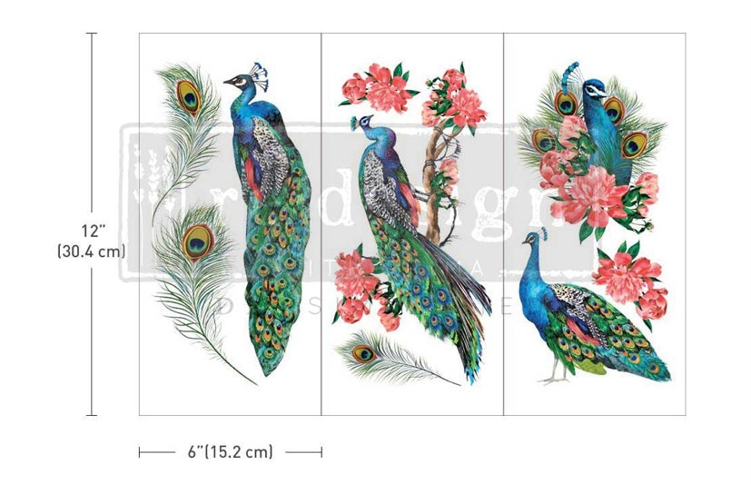 Royal Peacock