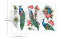 Royal Peacock