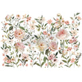 Blush Harmony transfer