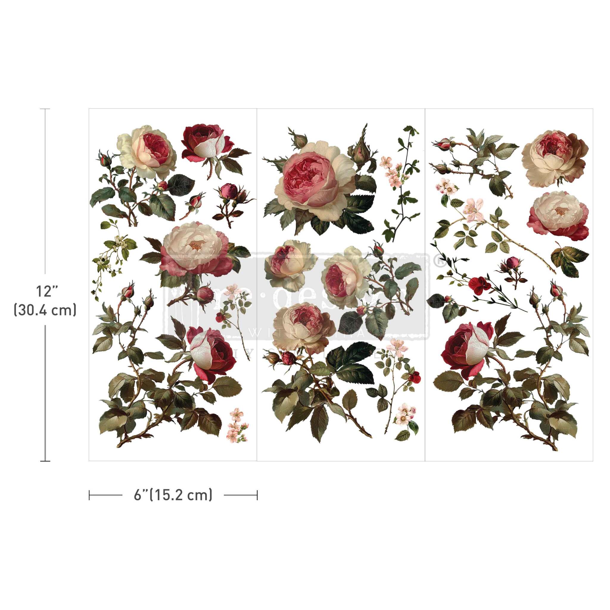 Midnight Rose transfer